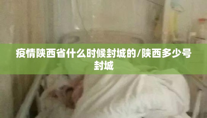 疫情陕西省什么时候封城的/陕西多少号封城