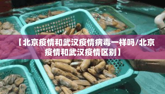【北京疫情和武汉疫情病毒一样吗/北京疫情和武汉疫情区别】