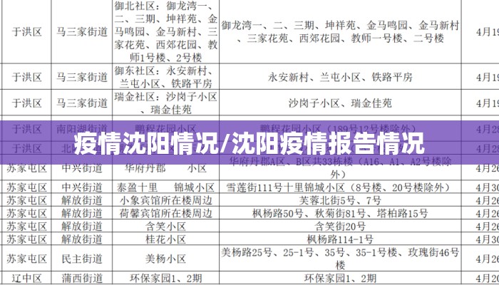 疫情沈阳情况/沈阳疫情报告情况
