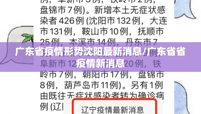 广东省疫情形势沈阳最新消息/广东省省疫情新消息