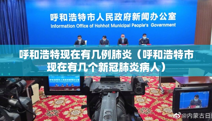 呼和浩特现在有几例肺炎（呼和浩特市现在有几个新冠肺炎病人）
