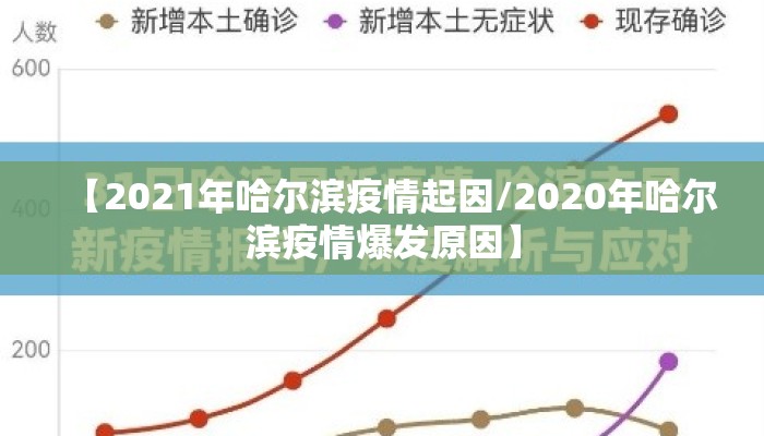 【2021年哈尔滨疫情起因/2020年哈尔滨疫情爆发原因】