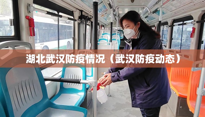 湖北武汉防疫情况（武汉防疫动态）