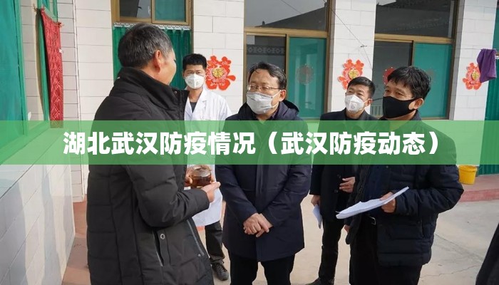 湖北武汉防疫情况（武汉防疫动态）