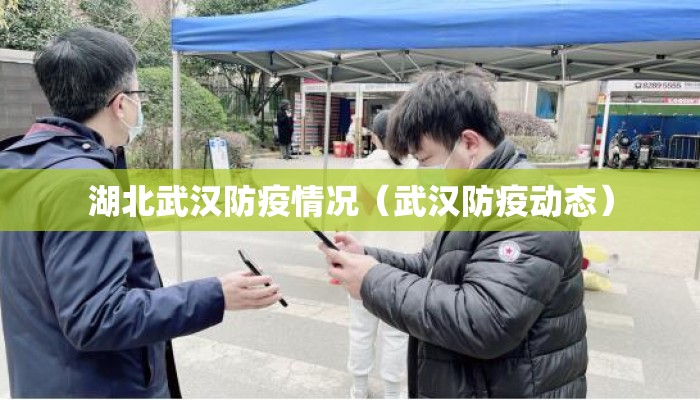 湖北武汉防疫情况（武汉防疫动态）
