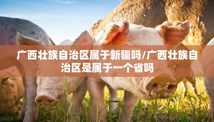 广西壮族自治区属于新疆吗/广西壮族自治区是属于一个省吗