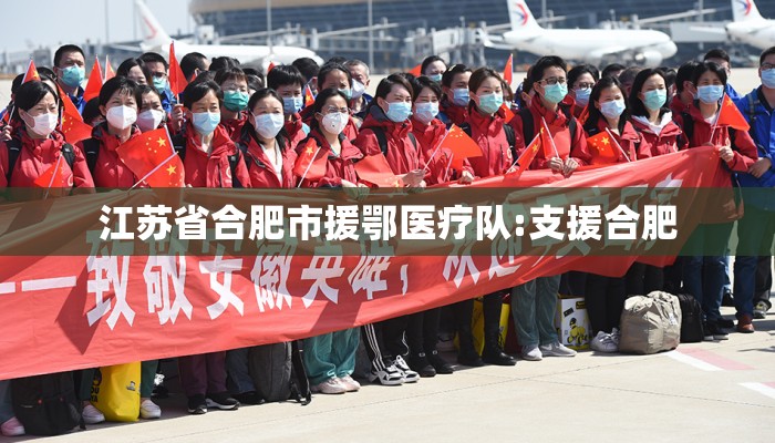 江苏省合肥市援鄂医疗队:支援合肥