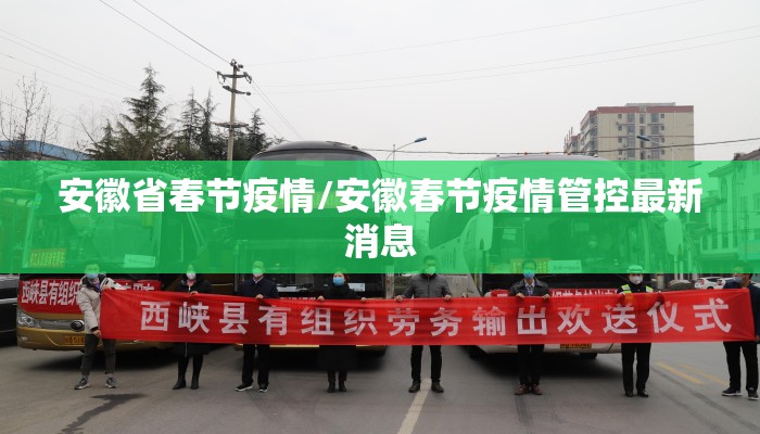 安徽省春节疫情/安徽春节疫情管控最新消息