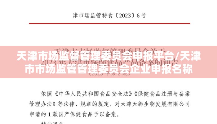 天津市场监督管理委员会申报平台/天津市市场监管管理委员会企业申报名称