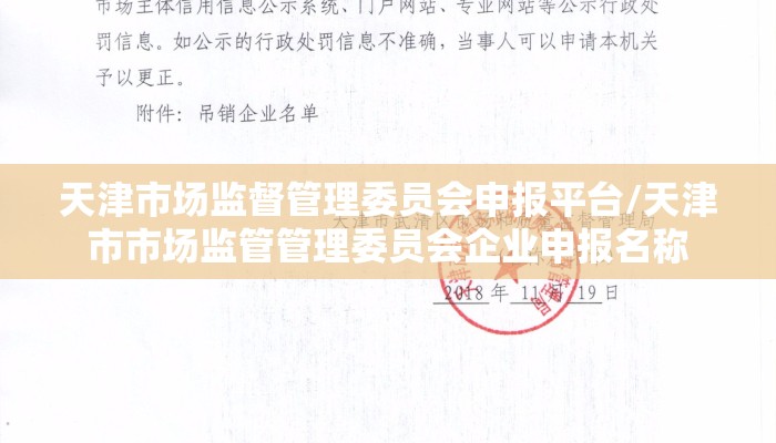 天津市场监督管理委员会申报平台/天津市市场监管管理委员会企业申报名称