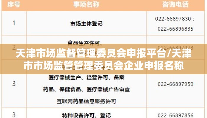 天津市场监督管理委员会申报平台/天津市市场监管管理委员会企业申报名称