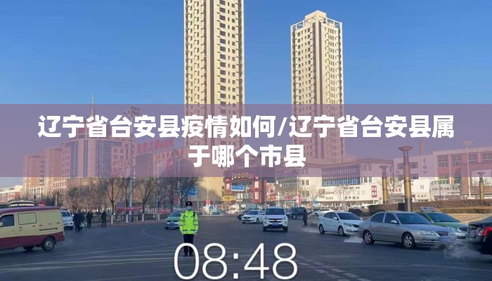 辽宁省台安县疫情如何/辽宁省台安县属于哪个市县