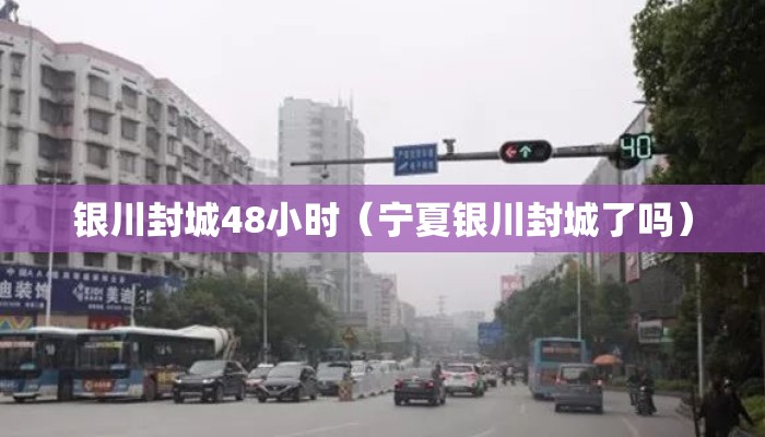 银川封城48小时（宁夏银川封城了吗）