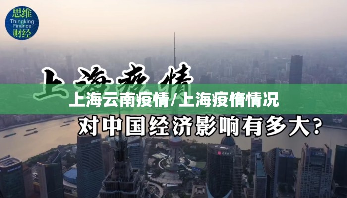 上海云南疫情/上海疫惰情况