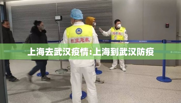上海去武汉疫情:上海到武汉防疫