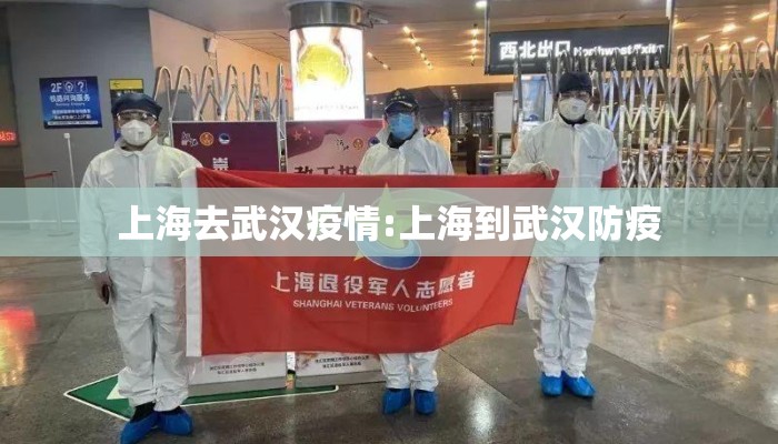 上海去武汉疫情:上海到武汉防疫