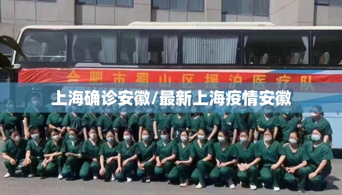上海确诊安徽/最新上海疫情安徽