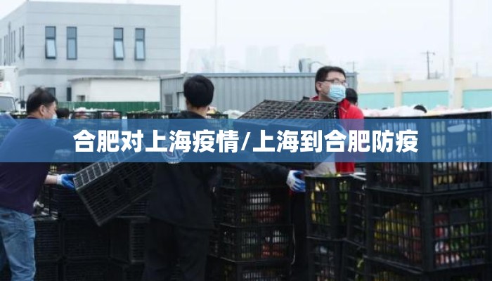 合肥对上海疫情/上海到合肥防疫