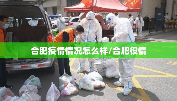 合肥疫情情况怎么样/合肥役情