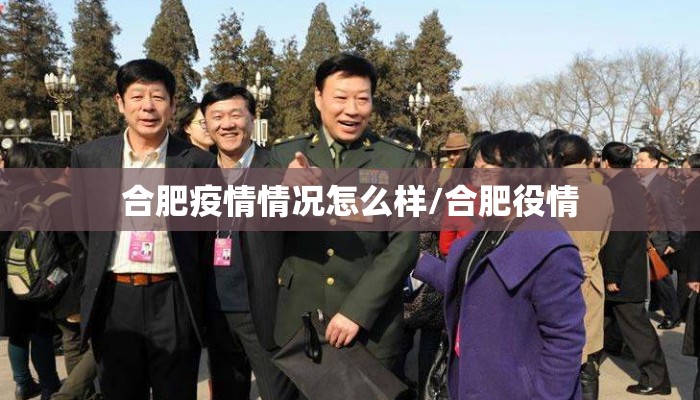 合肥疫情情况怎么样/合肥役情
