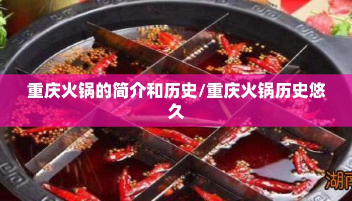 重庆火锅的简介和历史/重庆火锅历史悠久