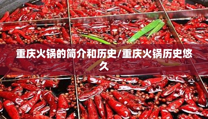 重庆火锅的简介和历史/重庆火锅历史悠久