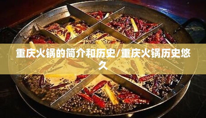 重庆火锅的简介和历史/重庆火锅历史悠久