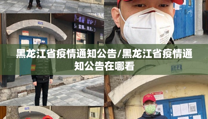黑龙江省疫情通知公告/黑龙江省疫情通知公告在哪看