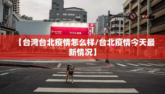 【台湾台北疫情怎么样/台北疫情今天最新情况】