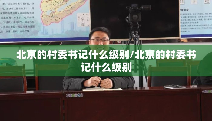 北京的村委书记什么级别/北京的村委书记什么级别