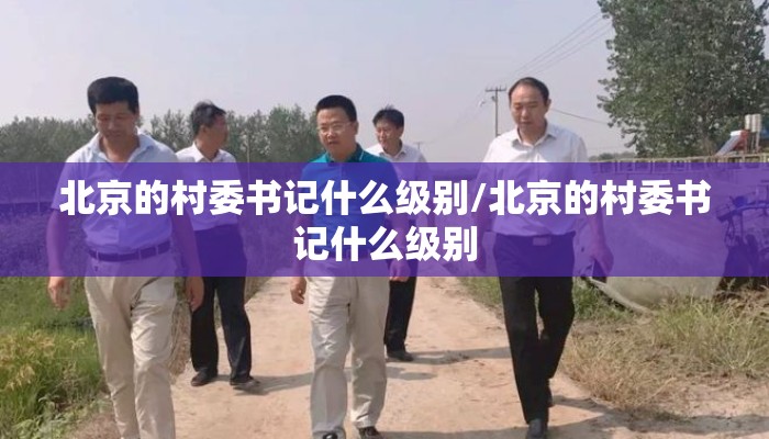 北京的村委书记什么级别/北京的村委书记什么级别