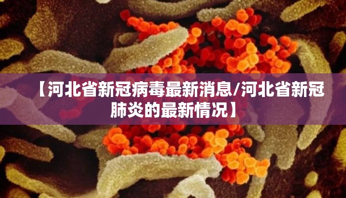 【河北省新冠病毒最新消息/河北省新冠肺炎的最新情况】
