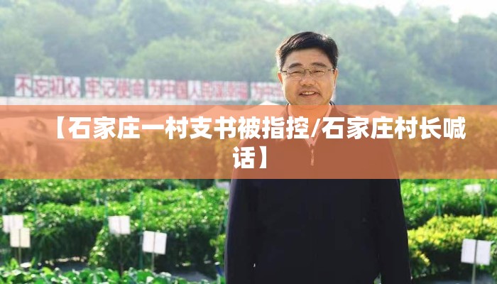 【石家庄一村支书被指控/石家庄村长喊话】