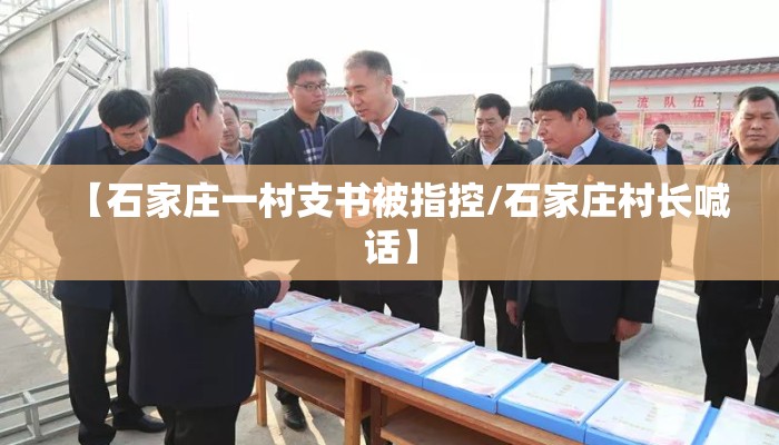 【石家庄一村支书被指控/石家庄村长喊话】