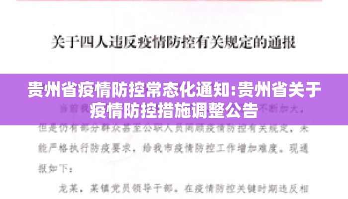 贵州省疫情防控常态化通知:贵州省关于疫情防控措施调整公告