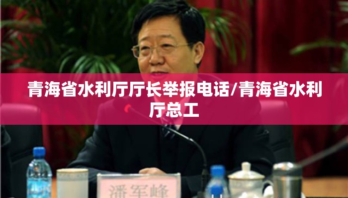 青海省水利厅厅长举报电话/青海省水利厅总工