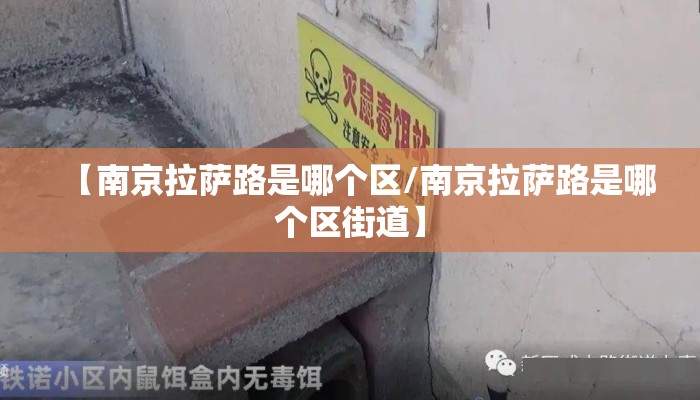 【南京拉萨路是哪个区/南京拉萨路是哪个区街道】