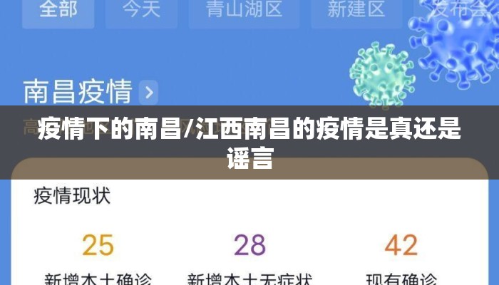 疫情下的南昌/江西南昌的疫情是真还是谣言