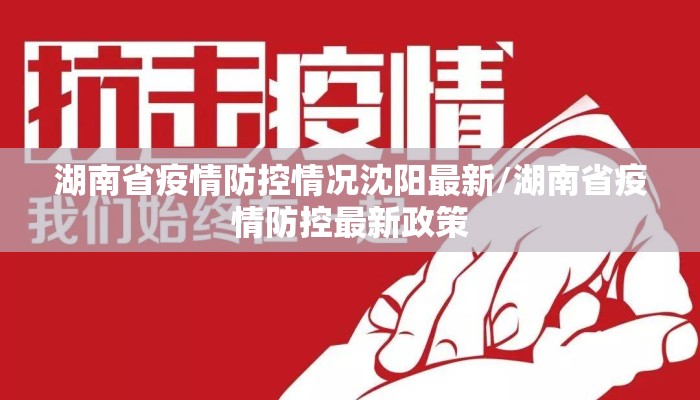 湖南省疫情防控情况沈阳最新/湖南省疫情防控最新政策