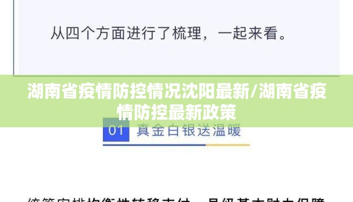 湖南省疫情防控情况沈阳最新/湖南省疫情防控最新政策