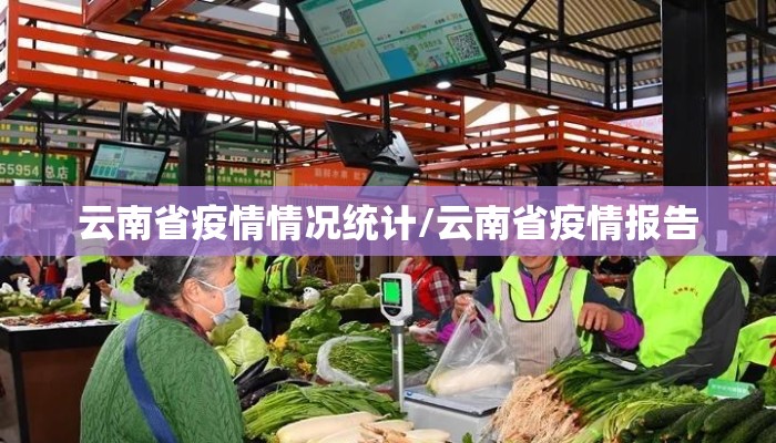 云南省疫情情况统计/云南省疫情报告