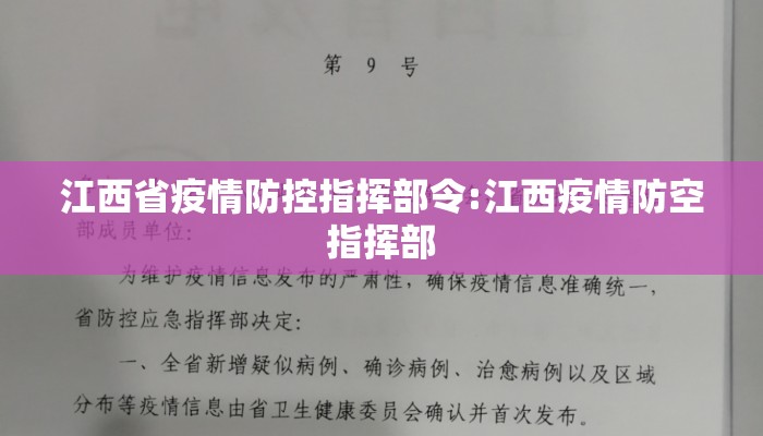 江西省疫情防控指挥部令:江西疫情防空指挥部