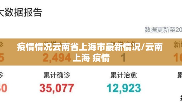 疫情情况云南省上海市最新情况/云南 上海 疫情