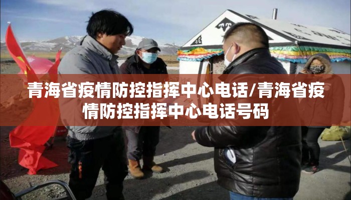 青海省疫情防控指挥中心电话/青海省疫情防控指挥中心电话号码