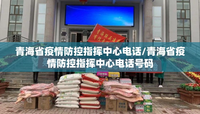 青海省疫情防控指挥中心电话/青海省疫情防控指挥中心电话号码