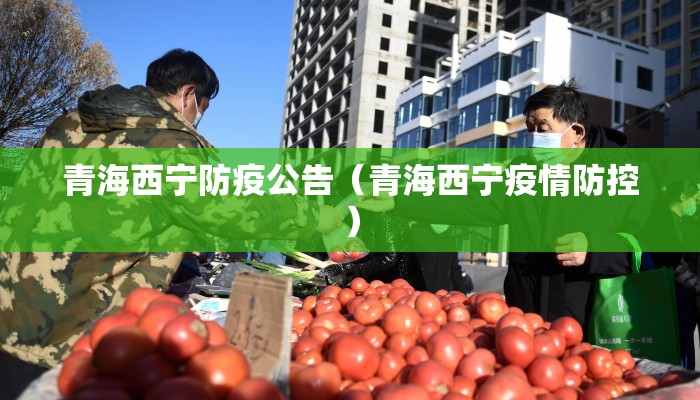 青海西宁防疫公告（青海西宁疫情防控）