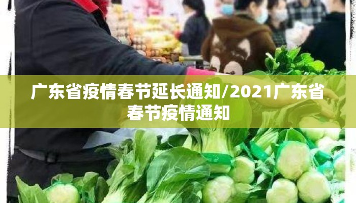 广东省疫情春节延长通知/2021广东省春节疫情通知