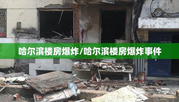哈尔滨楼房爆炸/哈尔滨楼房爆炸事件