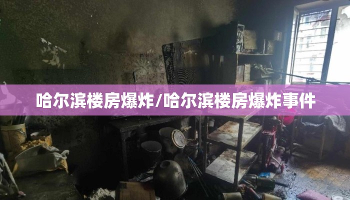 哈尔滨楼房爆炸/哈尔滨楼房爆炸事件