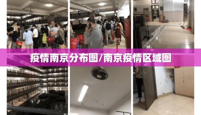 疫情南京分布图/南京疫情区域图